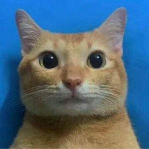 Meet your Posher, Will